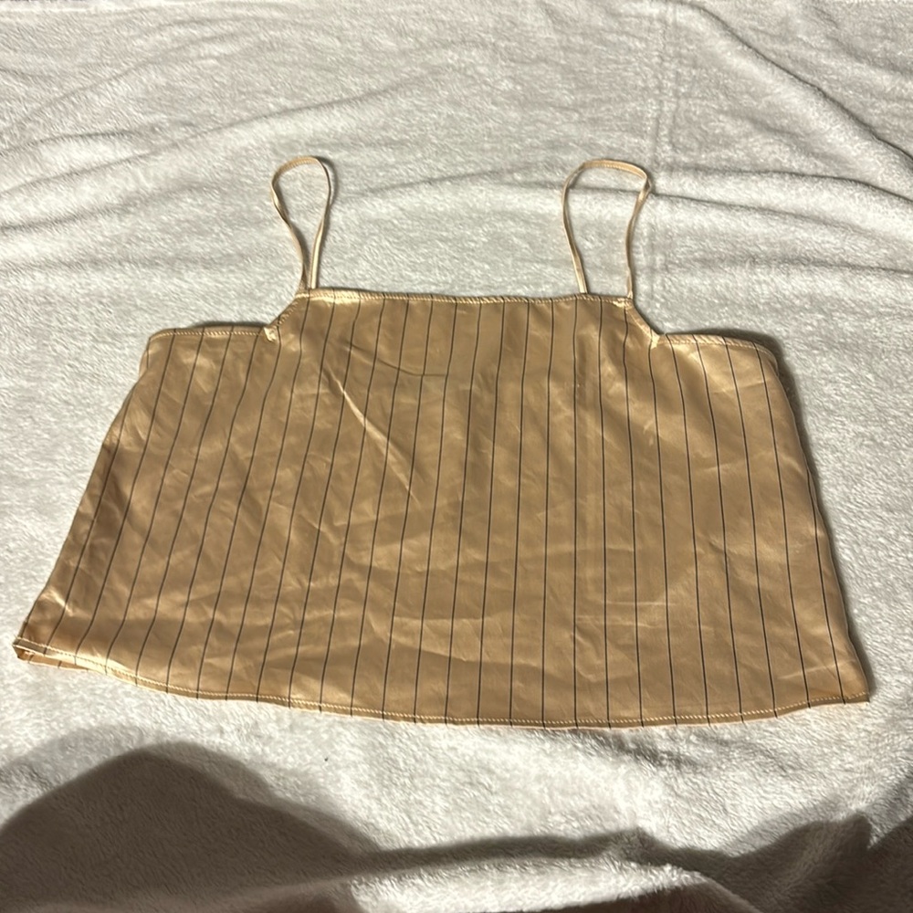Zara brown stripped top